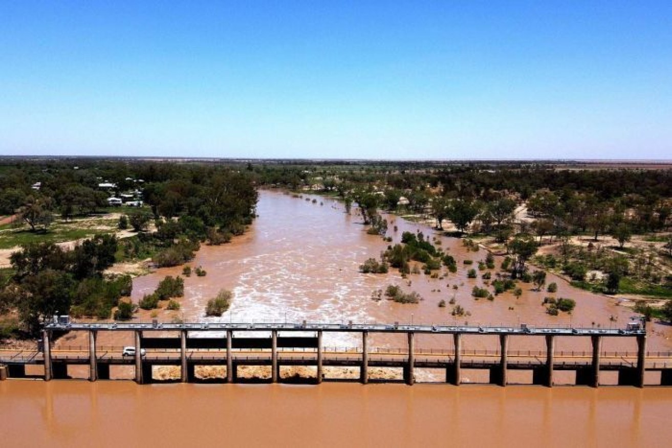 The flooded Balonne River in south-western Queensland after recent heavy rain.