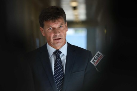 Angus Taylor says police probes into falsified letter were ‘pretty thorough’, despite lack of interviews