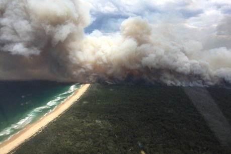 Bushfire royal commission says govts need to co-ordinate for ‘more intense’ natural disasters