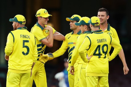 Australia-NZ ODI series cancelled over virus fears