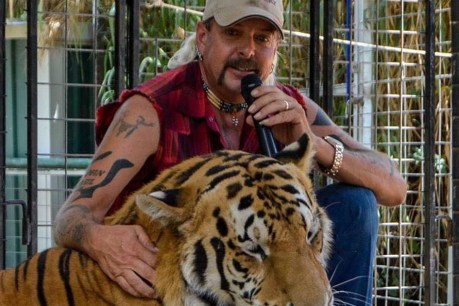 Mullets, murder and maulings: The wild ride that is <i>Tiger King</i>