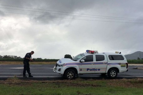 Queensland Police shoot dead man after 12-hour siege north of Cairns