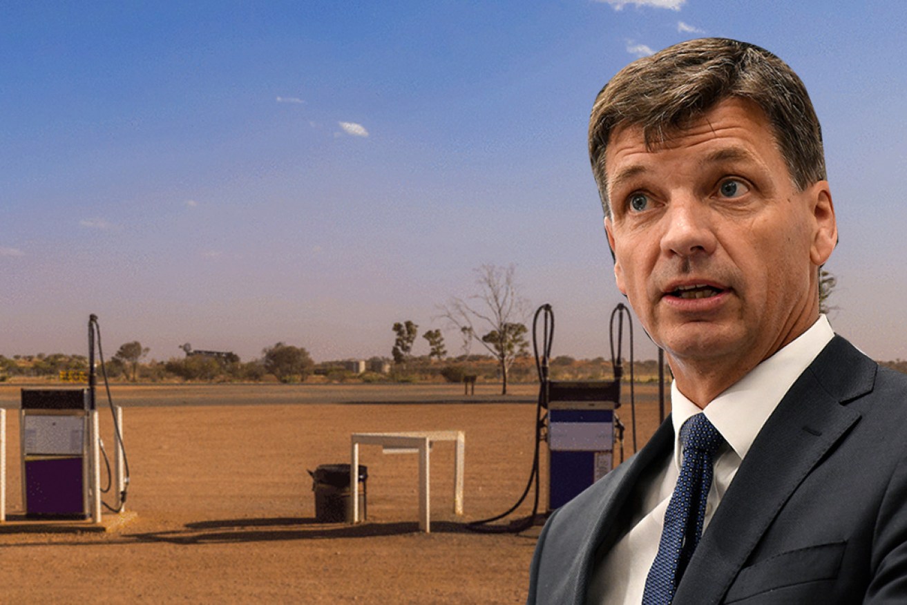 Analysts have questioned Angus Taylor's strategy for boosting emergency fuel stockpiles.