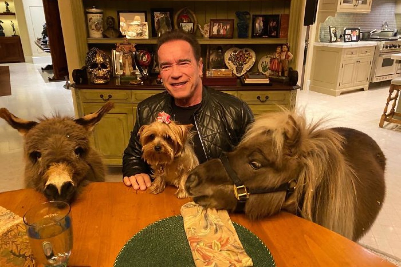 Arnold Schwarzenegger enlisted the help of his menagerie to advise millions of followers on coronavirus best practice.