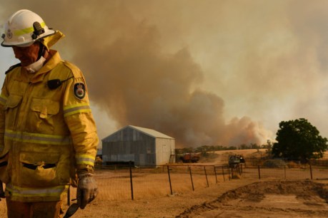 National state of emergency plan after &#8216;black summer&#8217; of bushfires