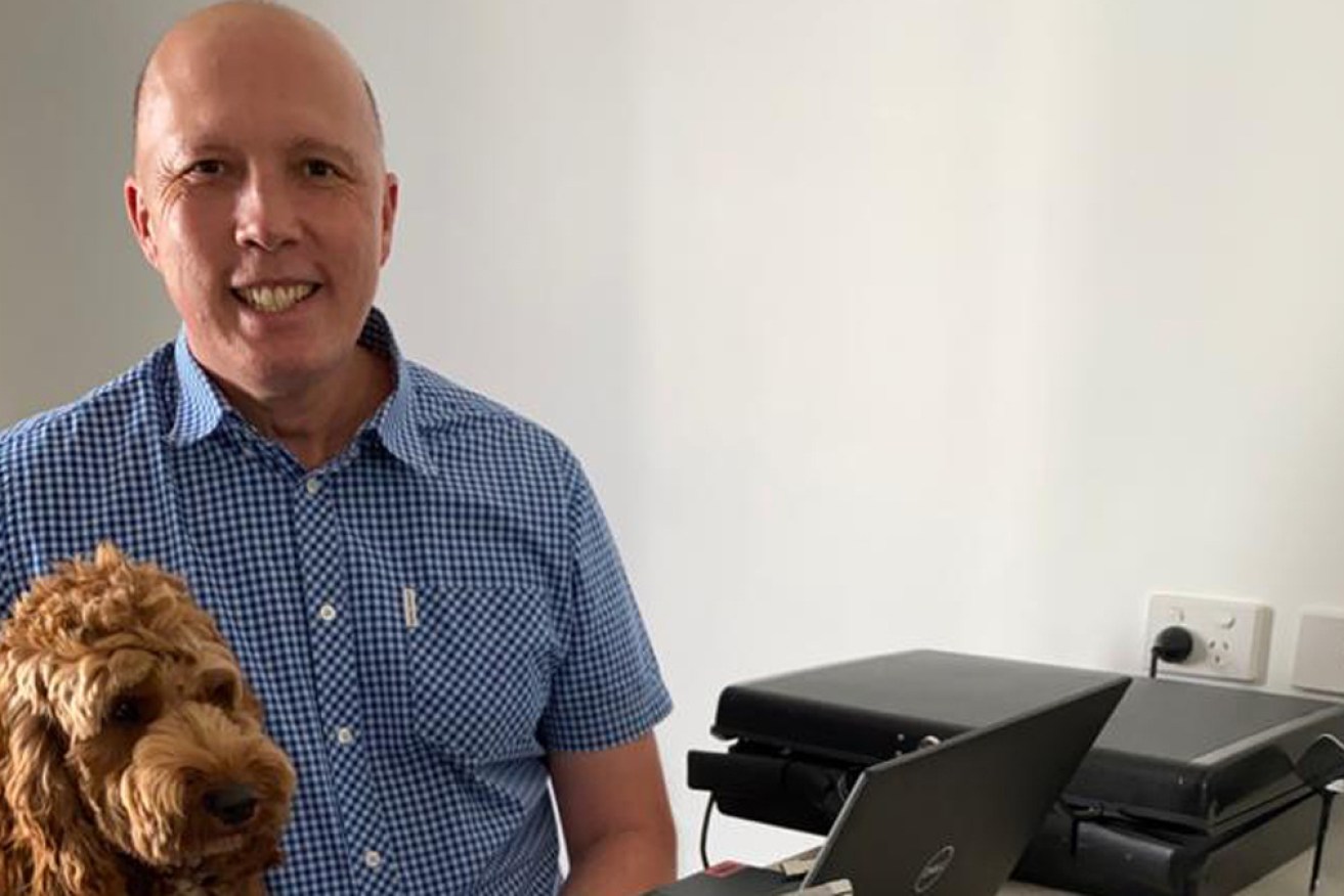 Home Affairs Minister Peter Dutton recovers in self-isolation at home with dog Ralph on Tuesday.