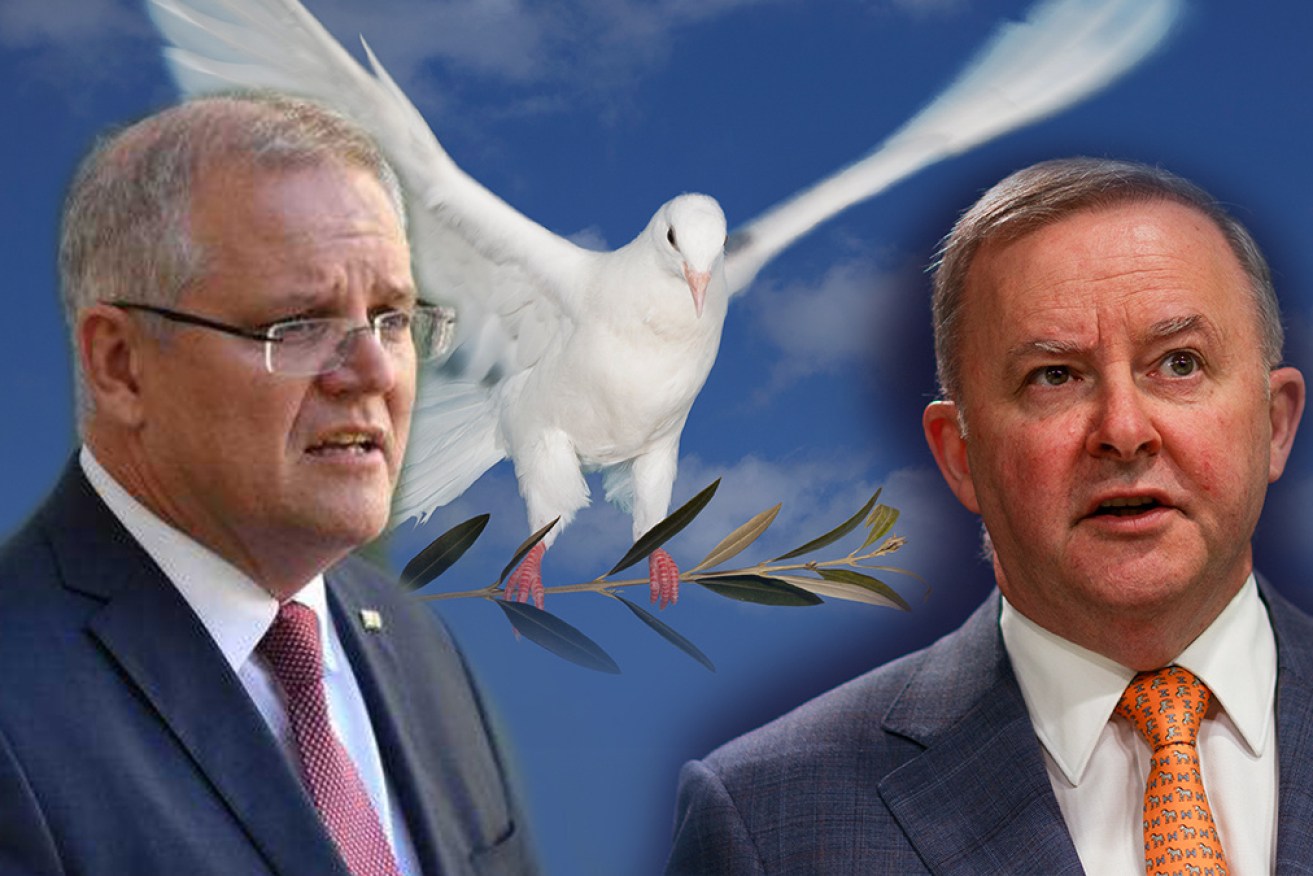 We're all fighting a common enemy. It's time for Scott Morrison to extend the proverbial to Anthony Albanese. 
