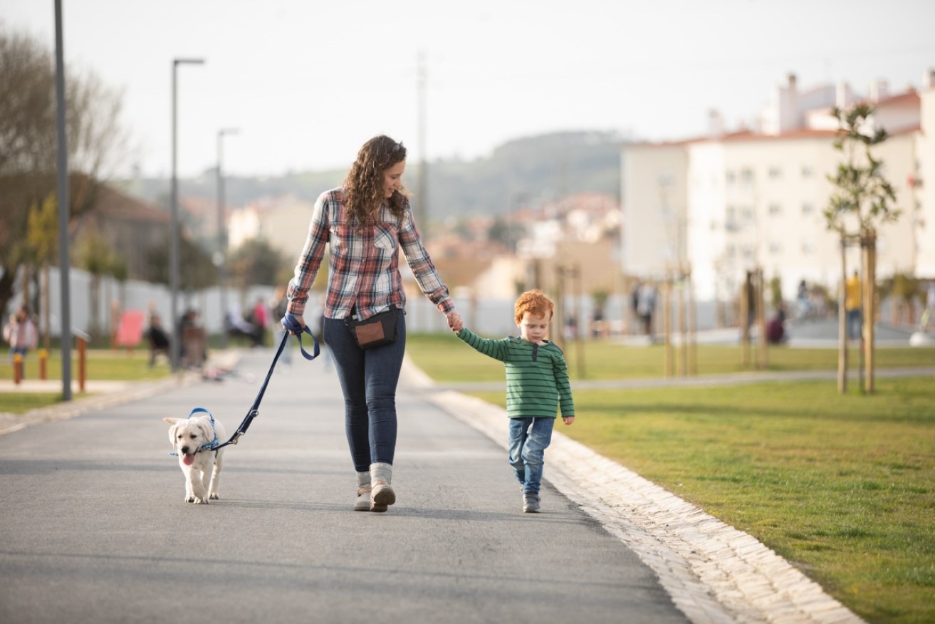 Survive the stress of life under COVID-19 siege by taking a walk every day: 30 minutes will do.  