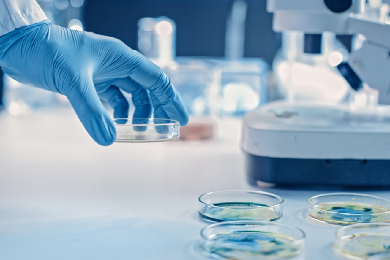 Researchers have had positive results with a widely available compound that kills coronavirus in the lab.
