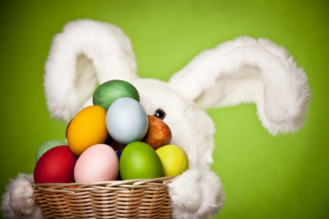 Never fear, the Easter Bunny has clearance for his regular long weekend chocolate distribution.