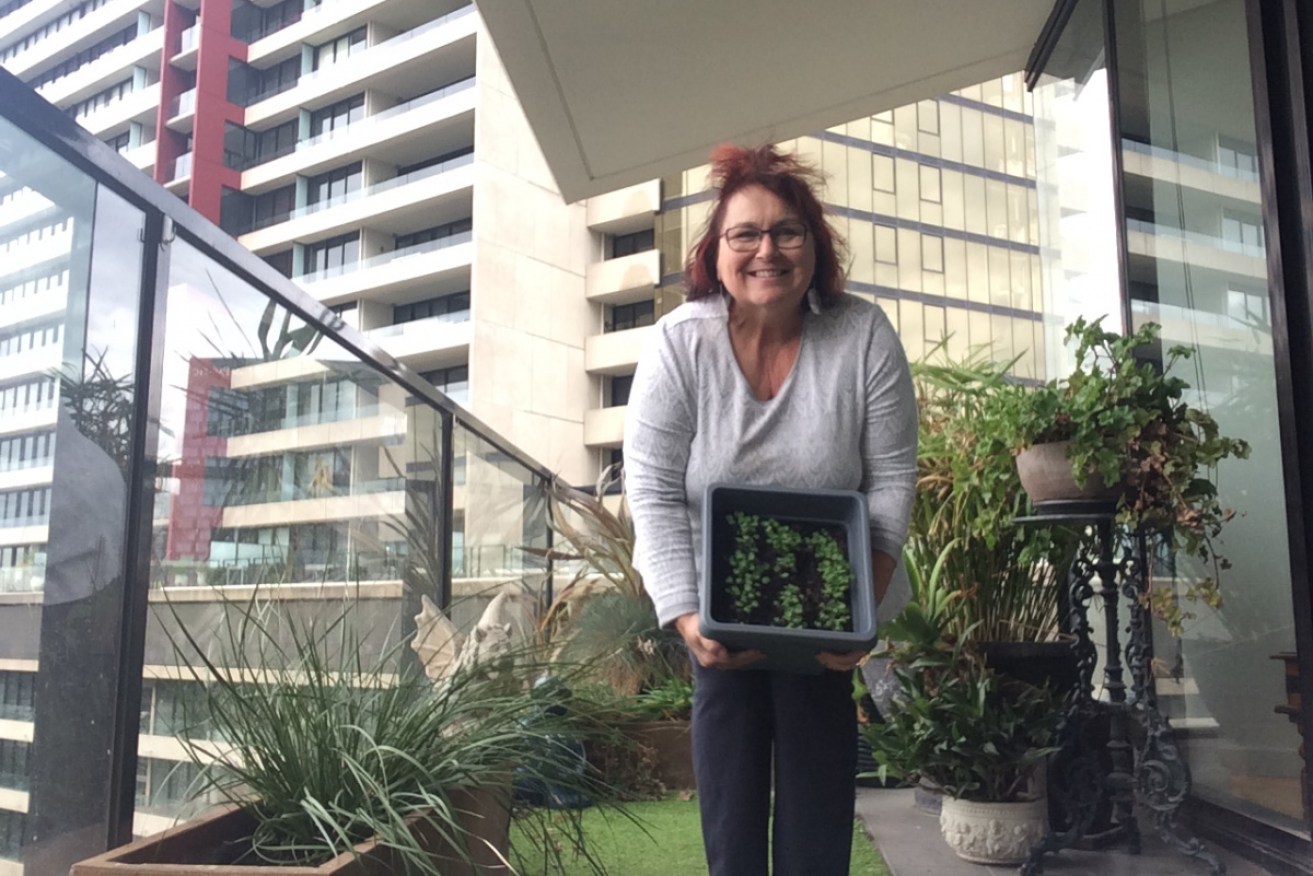 Diana McGowan has turned her apartment balcony into a mini garden to cope in coronavirus isolation. 