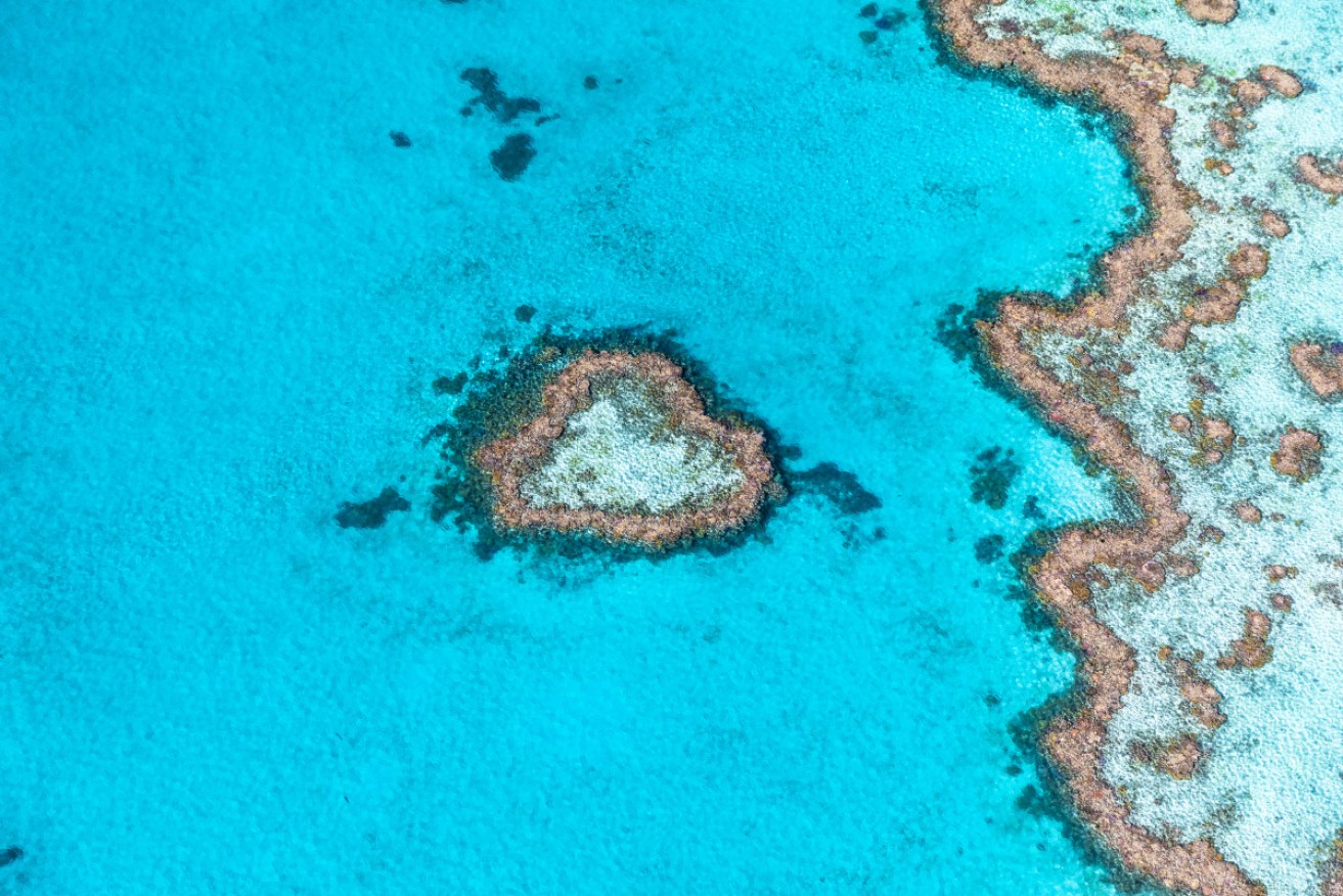 An aerial view of the Great Barrier Reef at Gladstone. Photo: Getty