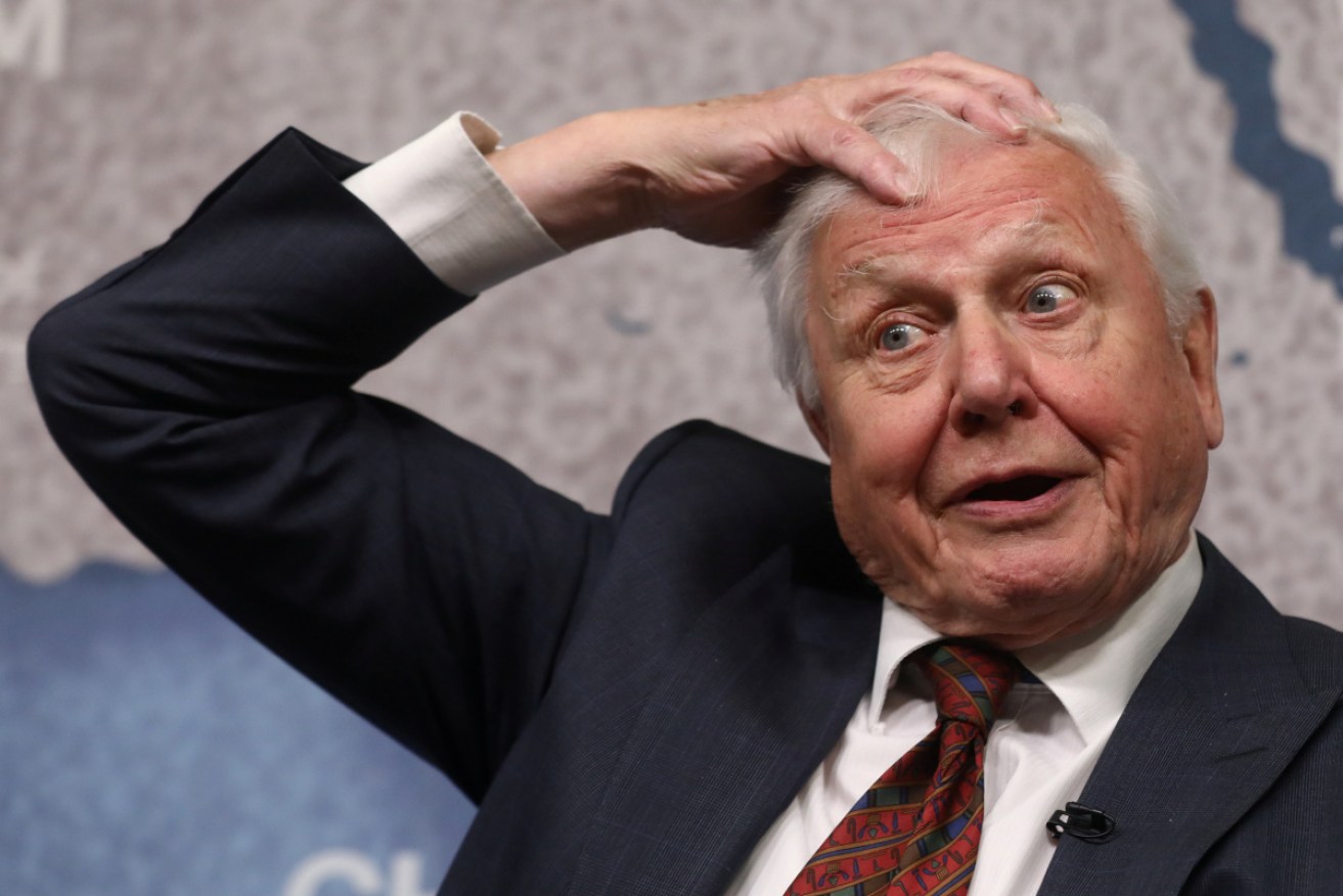 Sir David Attenborough reacts before accepting the annual Chatham House award in London, on November 20.