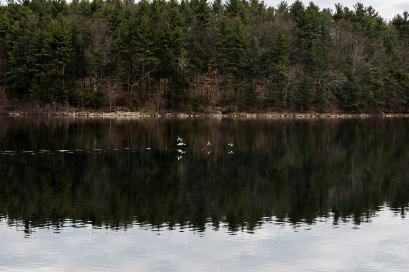 Walden Pond, where Henry David Thoreau settled in semi-seclusion for nearly two years. 