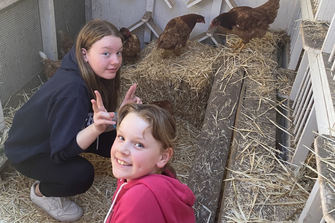 The Bettridge children have been keeping themselves entertained with their pet chooks.