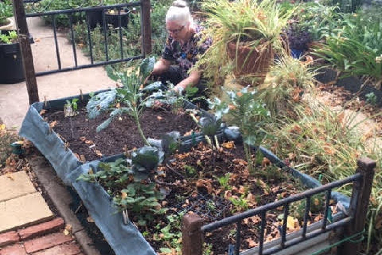 Suzy McKenna has made a DIY garden bed while social distancing at home due to the coronavirus.