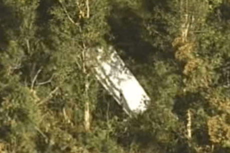 Passenger survives Gold Coast plane crash that killed 64-year-old pilot