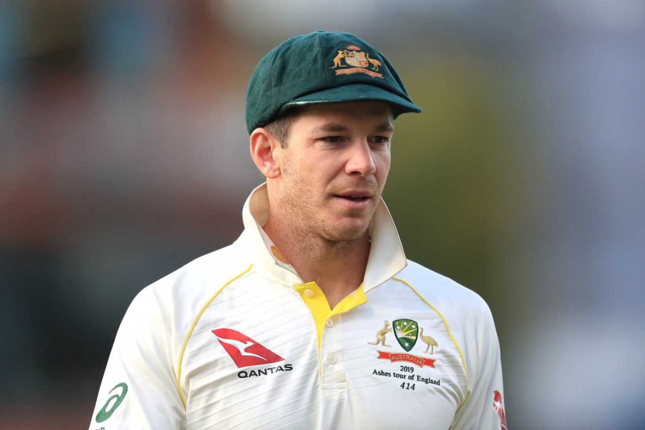 Australian captain Tim Paine has apologised to NZ fans for picking India to win the WTC final.