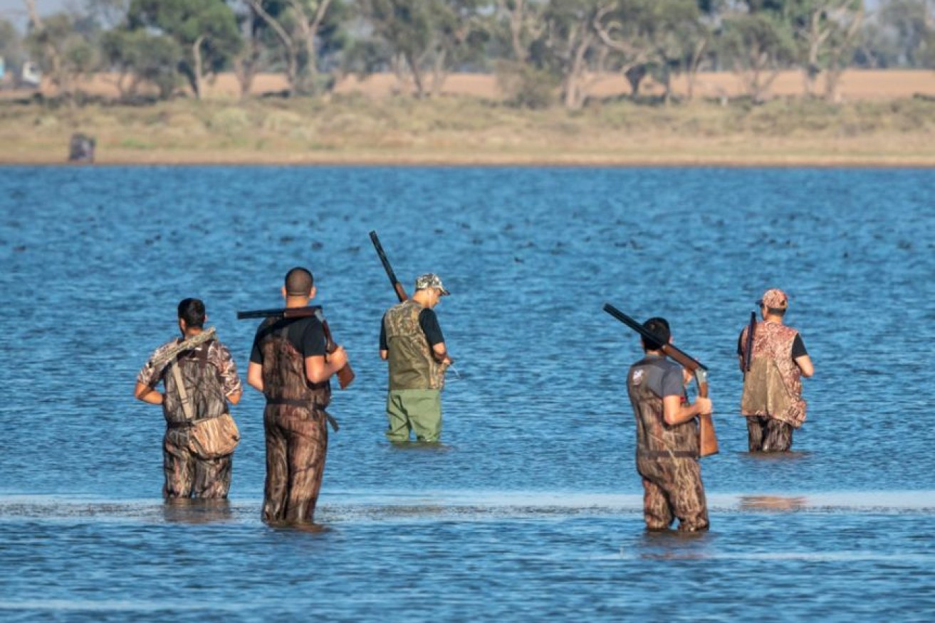 A complete ban on duck hunting has been recommended by a Victorian parliamentary inquiry.