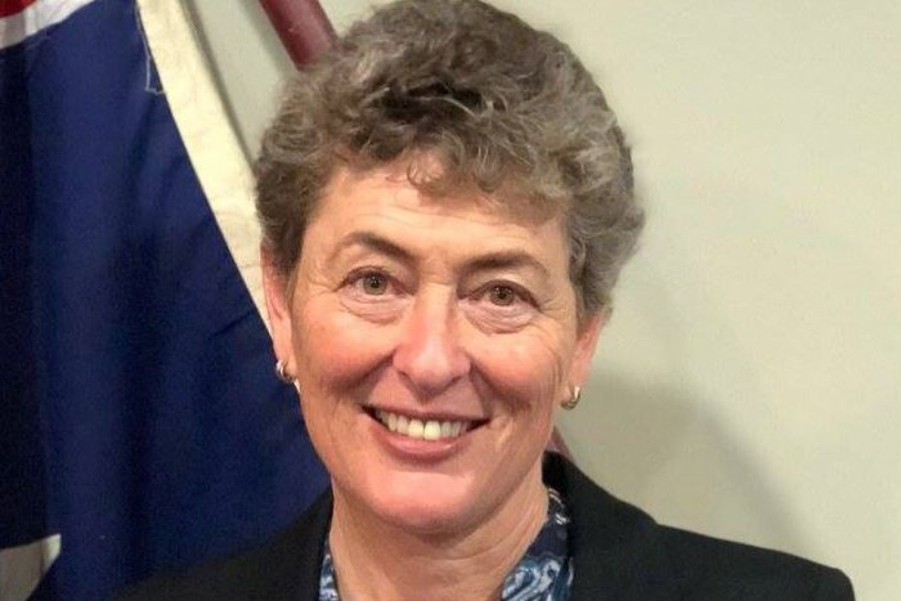 Fiona Kotvojs contested the seat for the Liberal Party at the 2019 Federal Election.