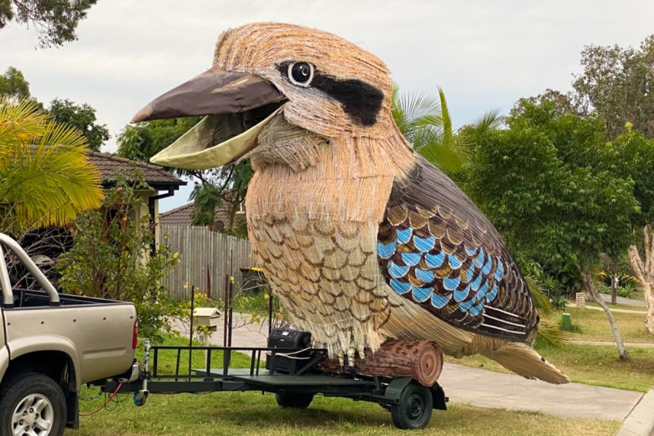 The giant kookaburra has been constructed in Brisbane and laughs out loud.
