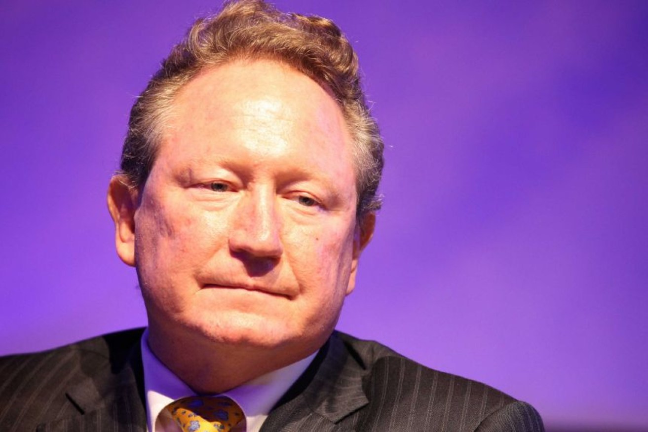 Fortescue Metals boss Andrew Forrest has launched criminal proceedings against Facebook.