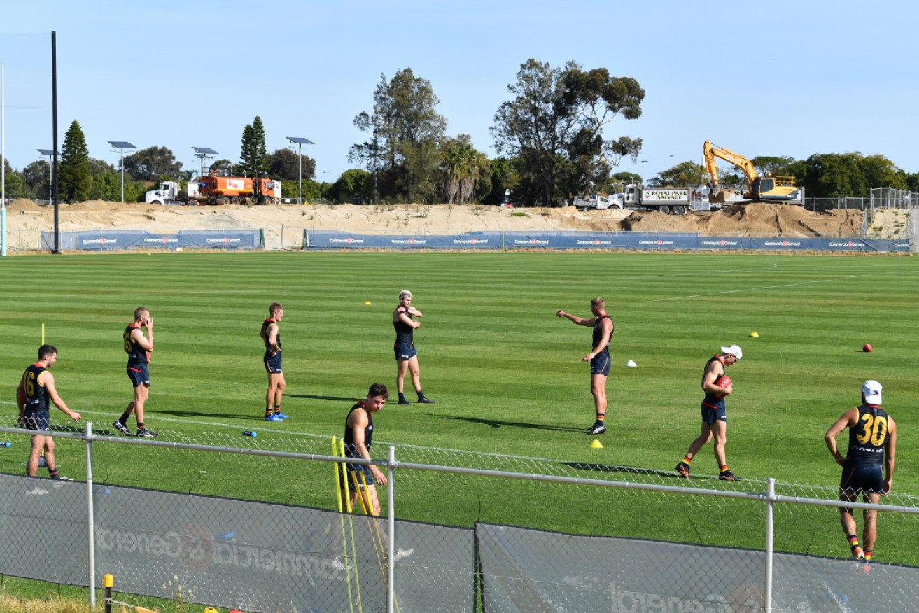 Adelaide Crows players training in groups of eight at West Lakes this week. 