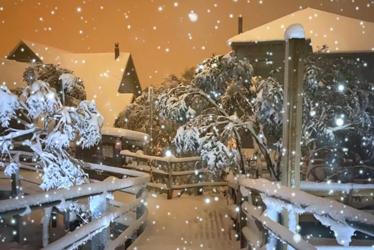 A snowy scene at Victoria's Mount Hotham on Thursday.