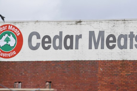 WorkSafe to investigate work practices at Cedar Meats amid coronavirus outbreak