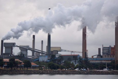Port Kembla steelworks accident kills 59yo worker, BlueScope shuts site