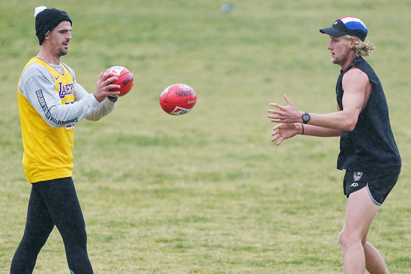 Collingwood's Scott Pendlebury and Tom Wilson train at Elsternwick Park in Melbourne on Wednesday.