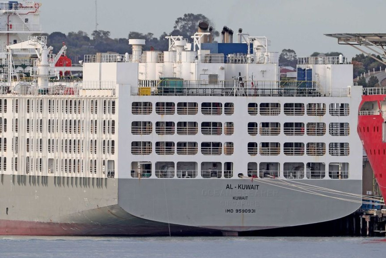 The sheep were due to depart from Fremantle on the Al Kuwait live export ship before a ban on June 1.