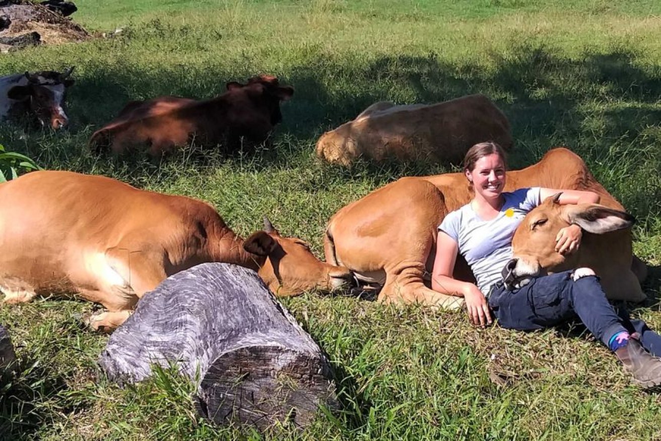 Mandali lounging with cows at the Hare Krishna farm in northern New South Wales.