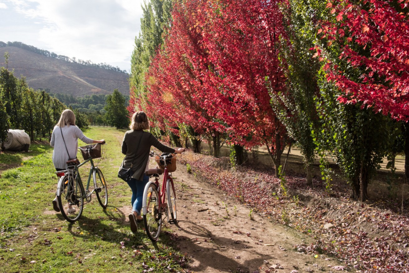 It could be Europe – but it's not. This is autumn in country Victoria.