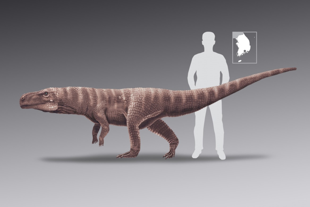 Without decent support from its front limbs, this early crocodile would have had serious back ache.