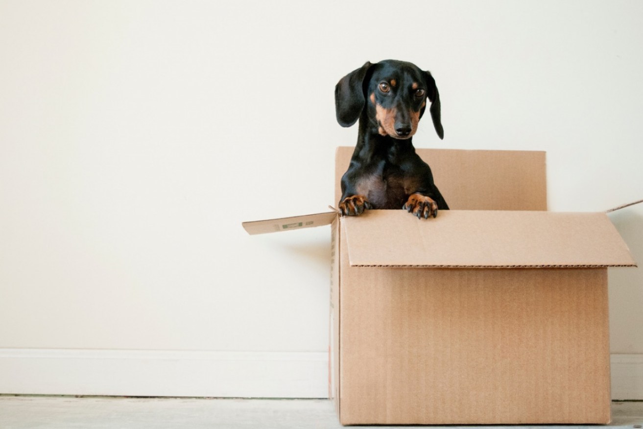 An online removalist booking platform has found the cities people are moving to and from during coronavirus.