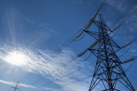 Large electricity users to be paid to cut energy use under historic market reform