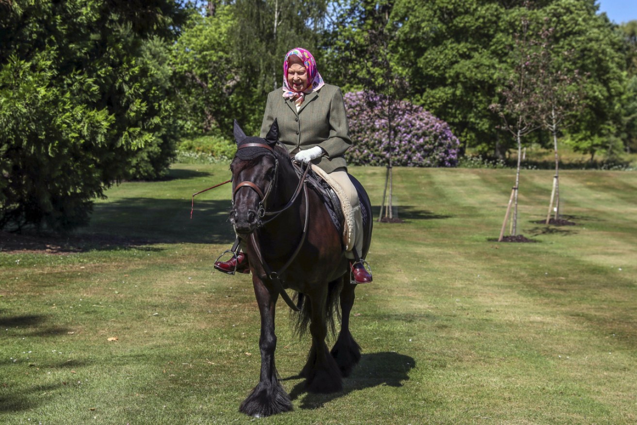 The Queen rides Balmoral Fern in the grounds of Windsor Castle, in the first photos of her seen in nearly three months.