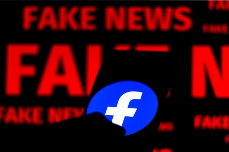Watchdog says tech giants must tackle fake news