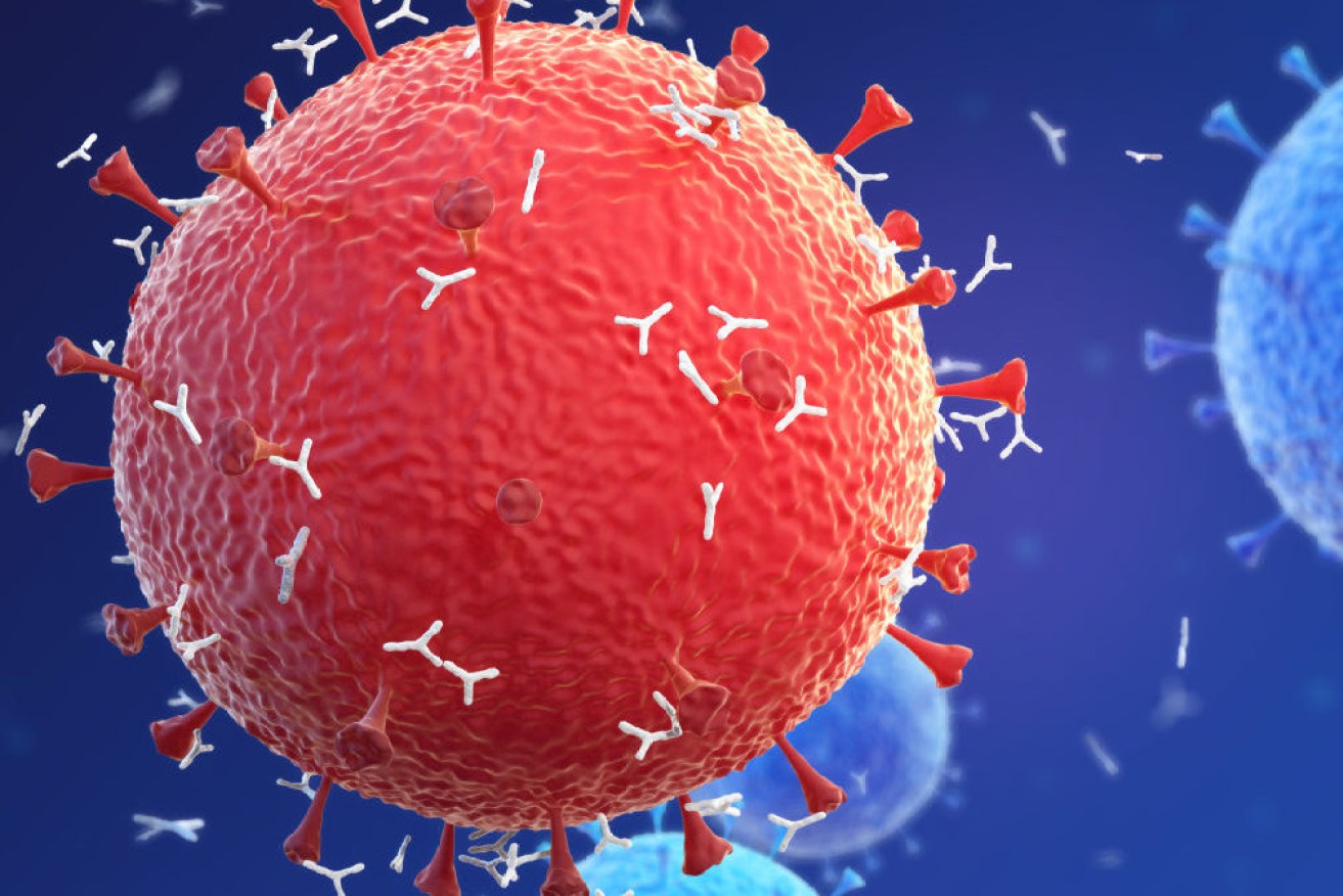 Researchers identified  several types of antibodies that, even in tiny quantities, could block the virus in human cells.  