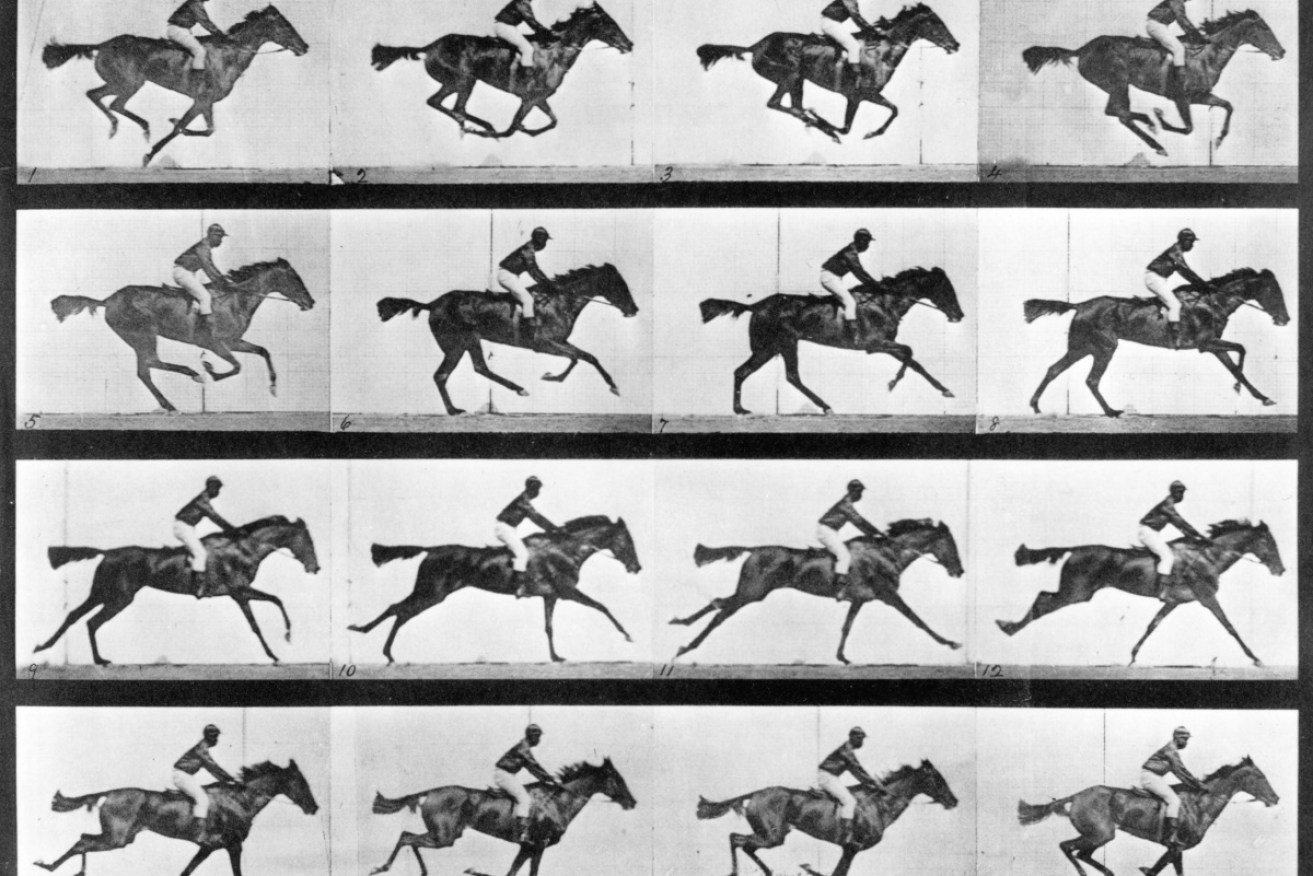 A series of famous photographs taken by film pioneer Eadweard Muybridge. 