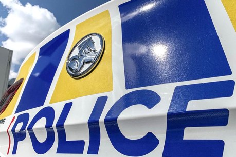 Newborn’s body found in suburban rubbish bin