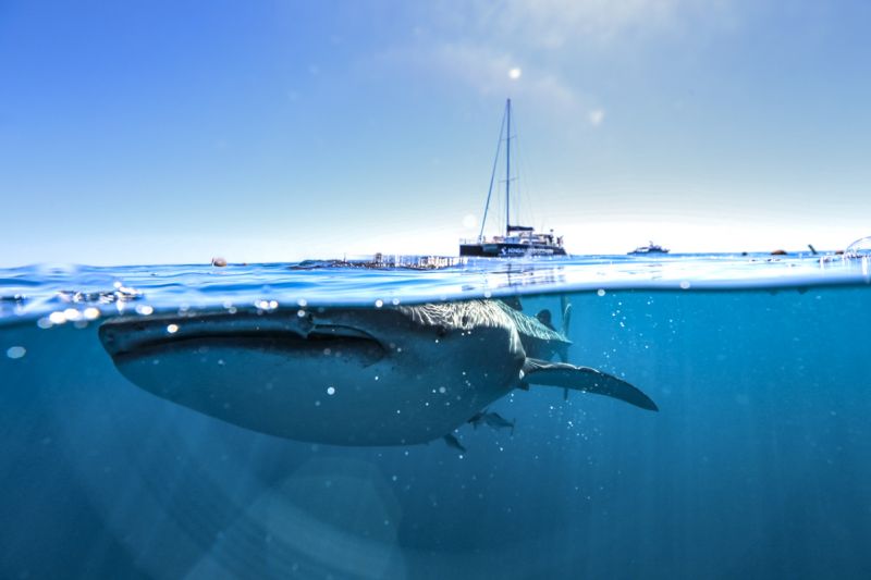 best of western australia