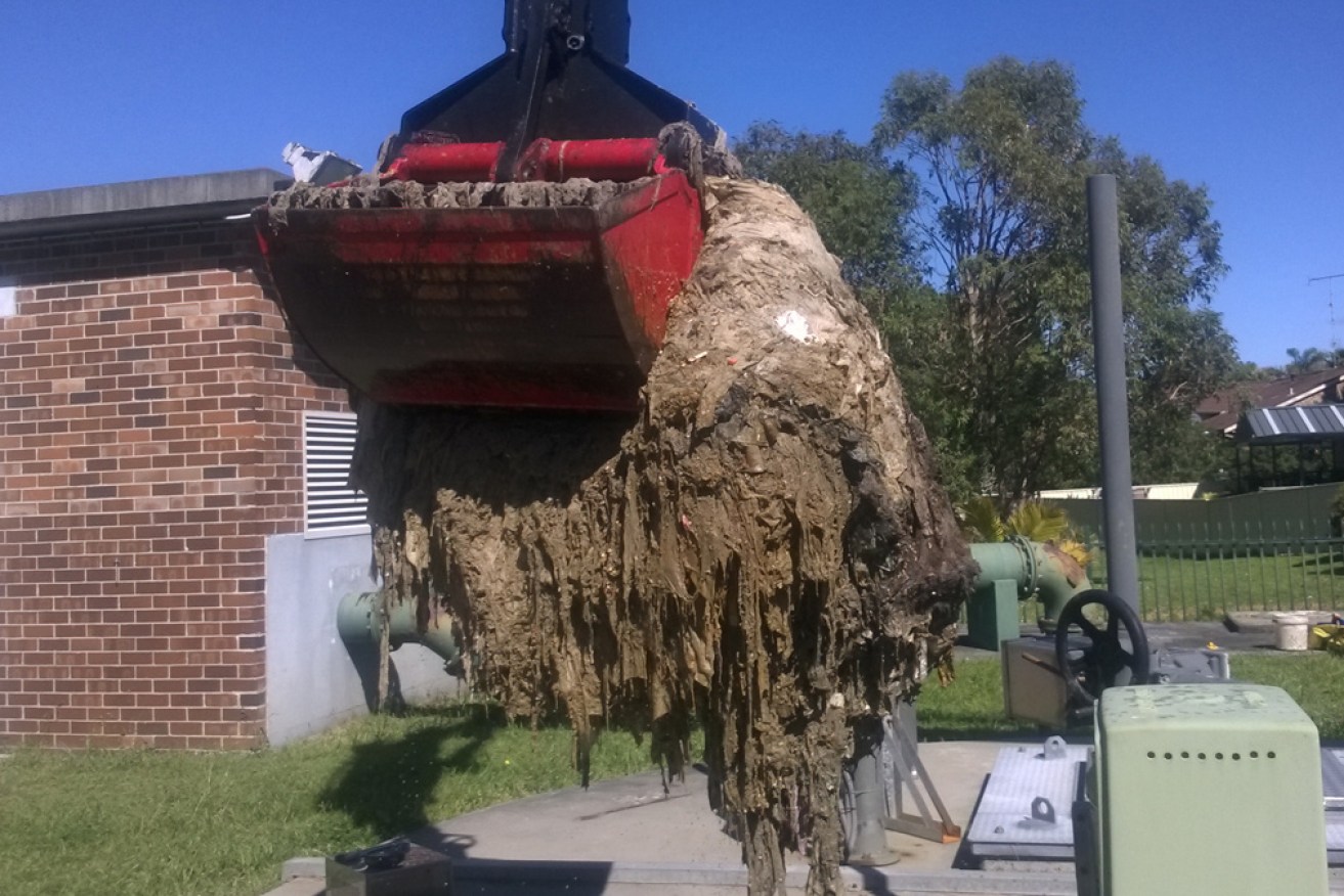 A fatberg is pulled from a Sydney Water sewage pumping station.