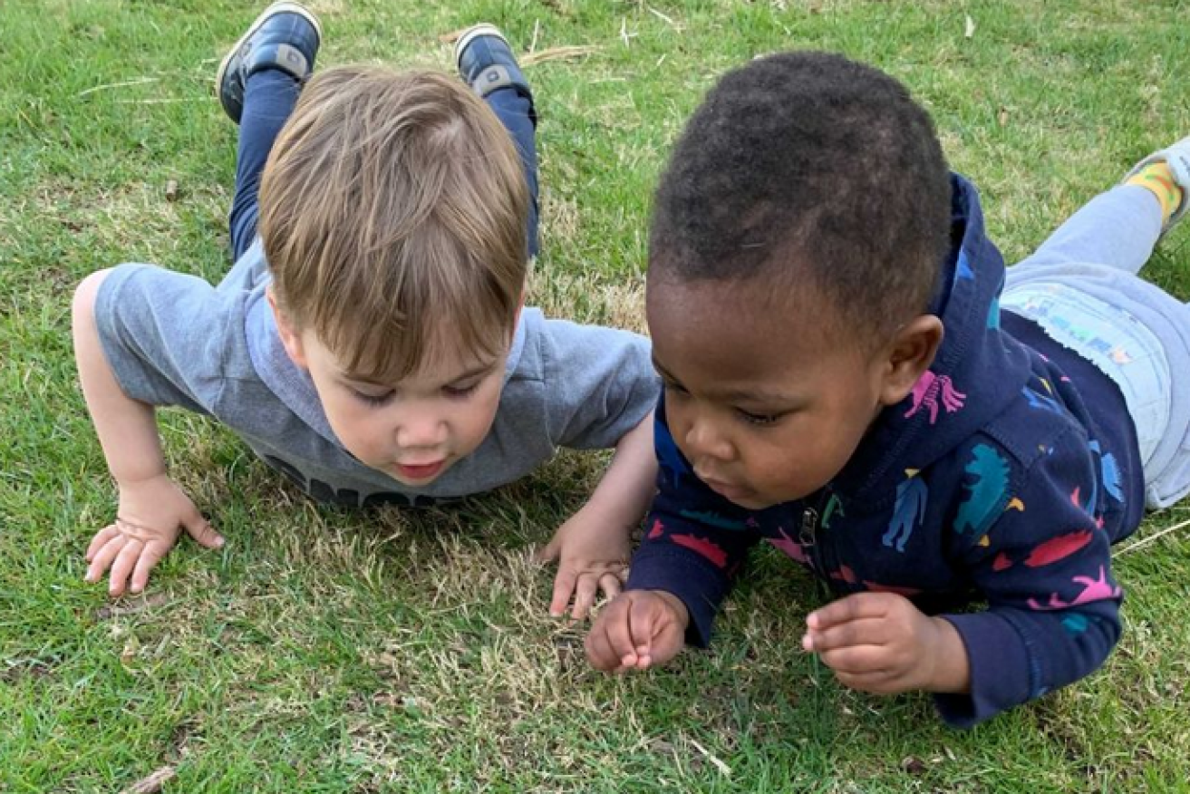 Toddlers Finnegan (left) and Maxwell are too busy keeping their eyes on bugs to care about the colours of their skins.