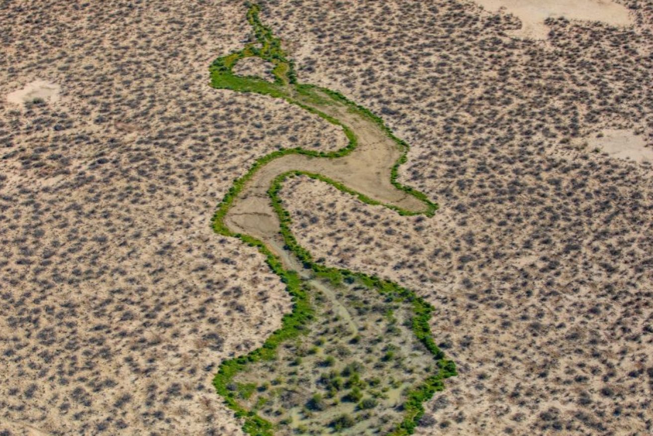 A ribbon of green follows snakes through the parched beauty of Narriearra Station.