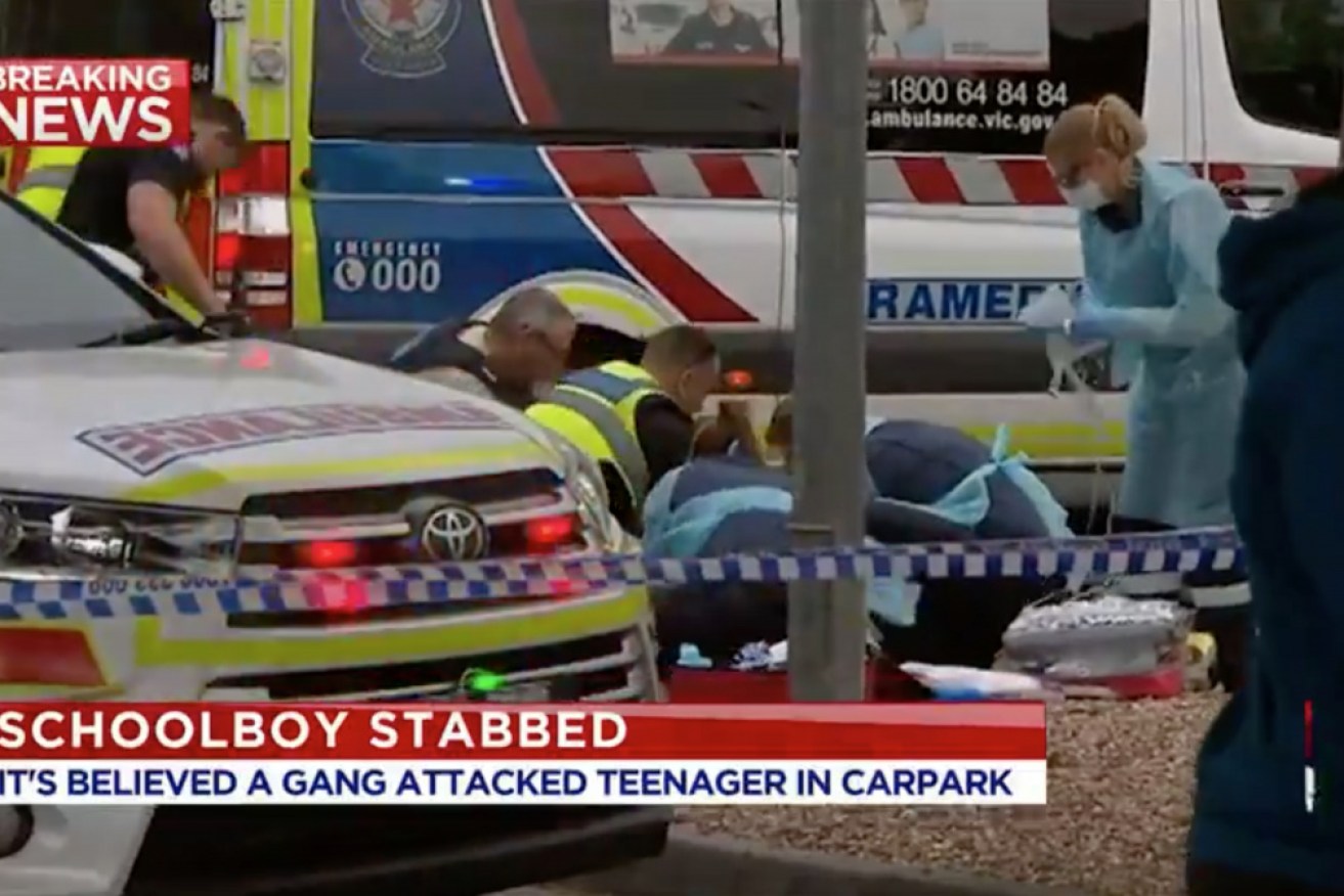 A teenage boy has been fatally stabbed in Melbourne.