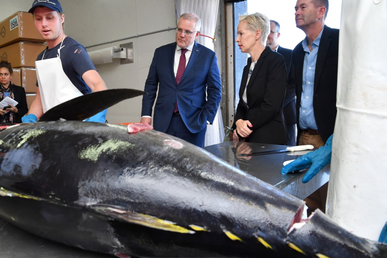 Scott Morrison at Walker Seafoods in Mooloolaba on Tuesday.