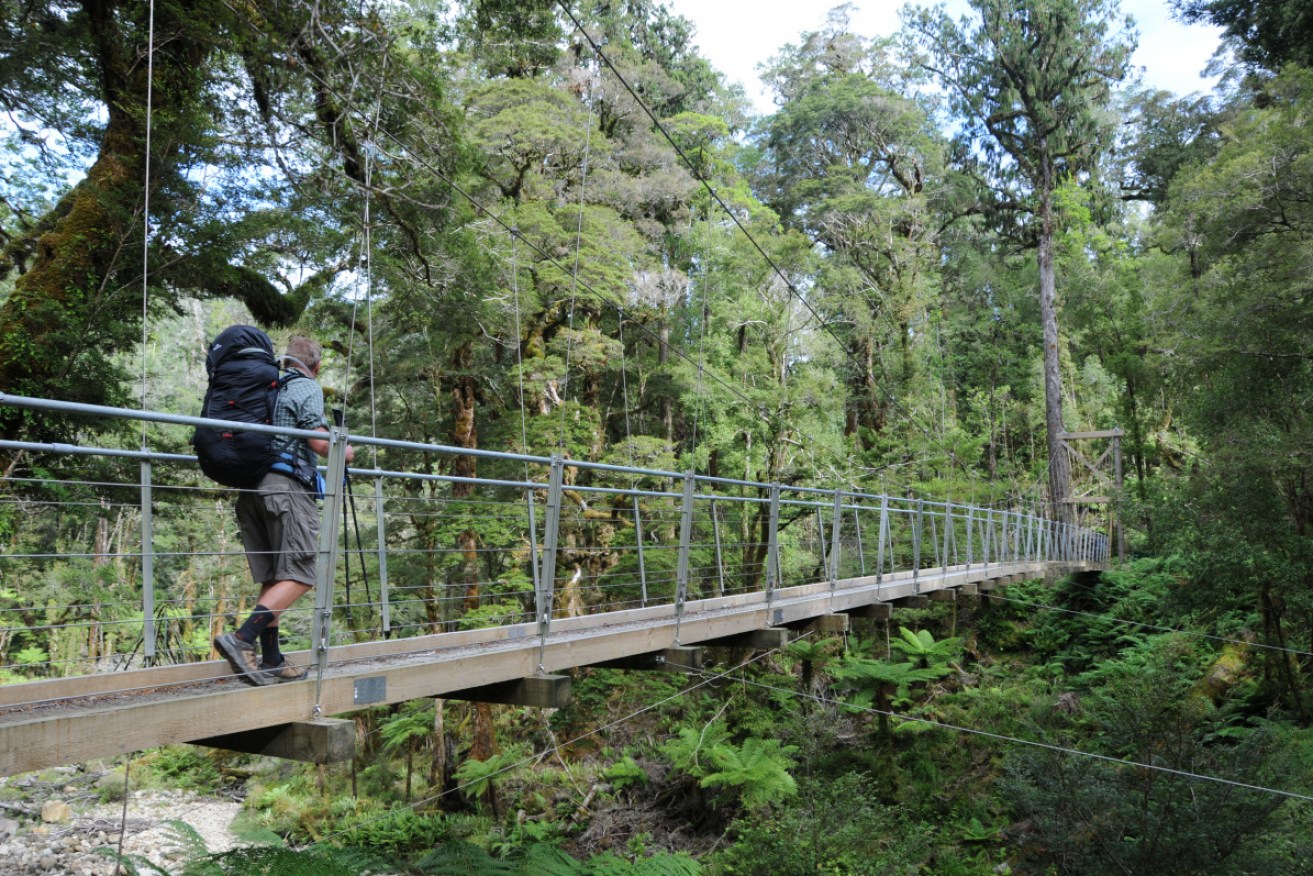 The Paparoa Track, built for both walking and mountain biking, is the first new NZ Great Walk in 20 years.