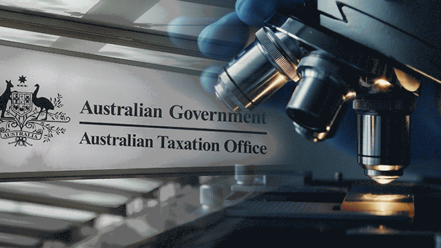 The ATO is investigating hundreds of alleged JobKeeper rorts.